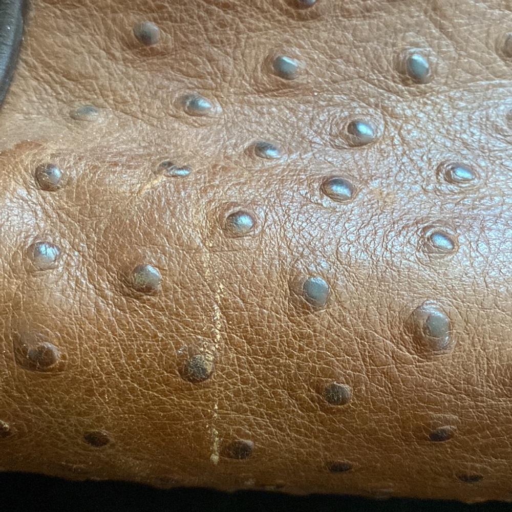 Dooney & Bourke Ostrich Skin Bag - Picture 15 of 15